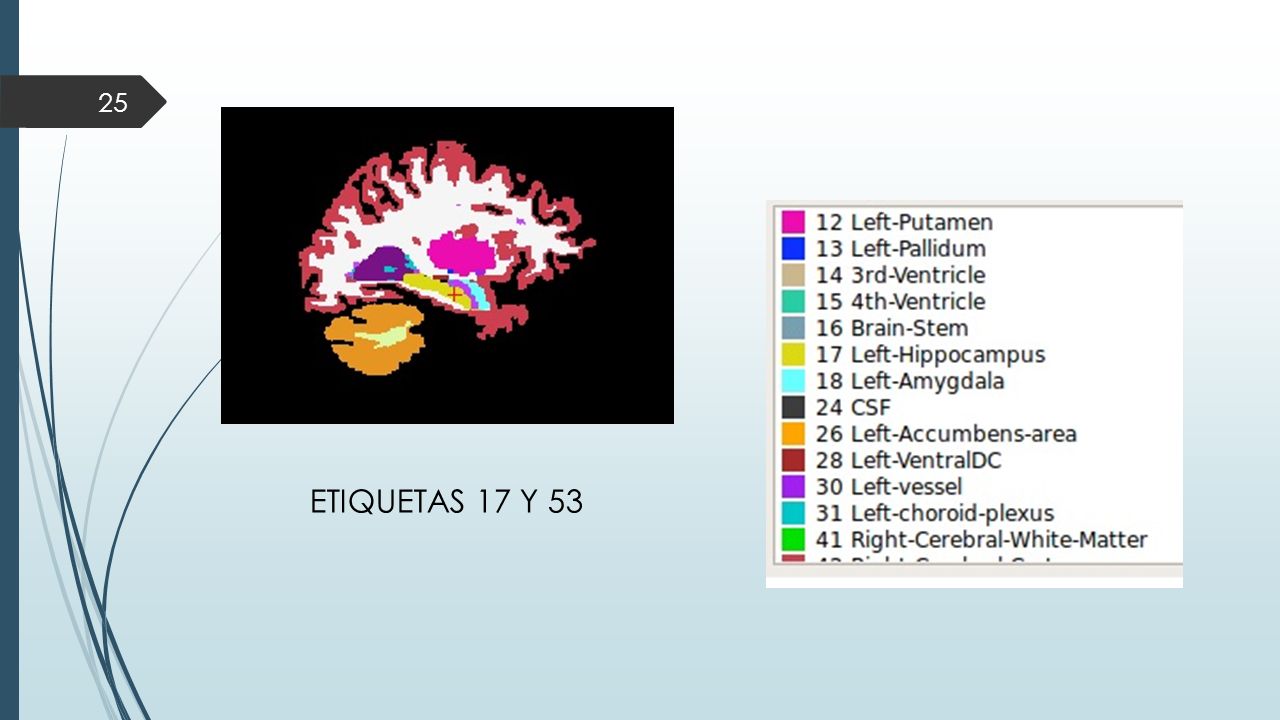 ETIQUETAS 17 Y 53