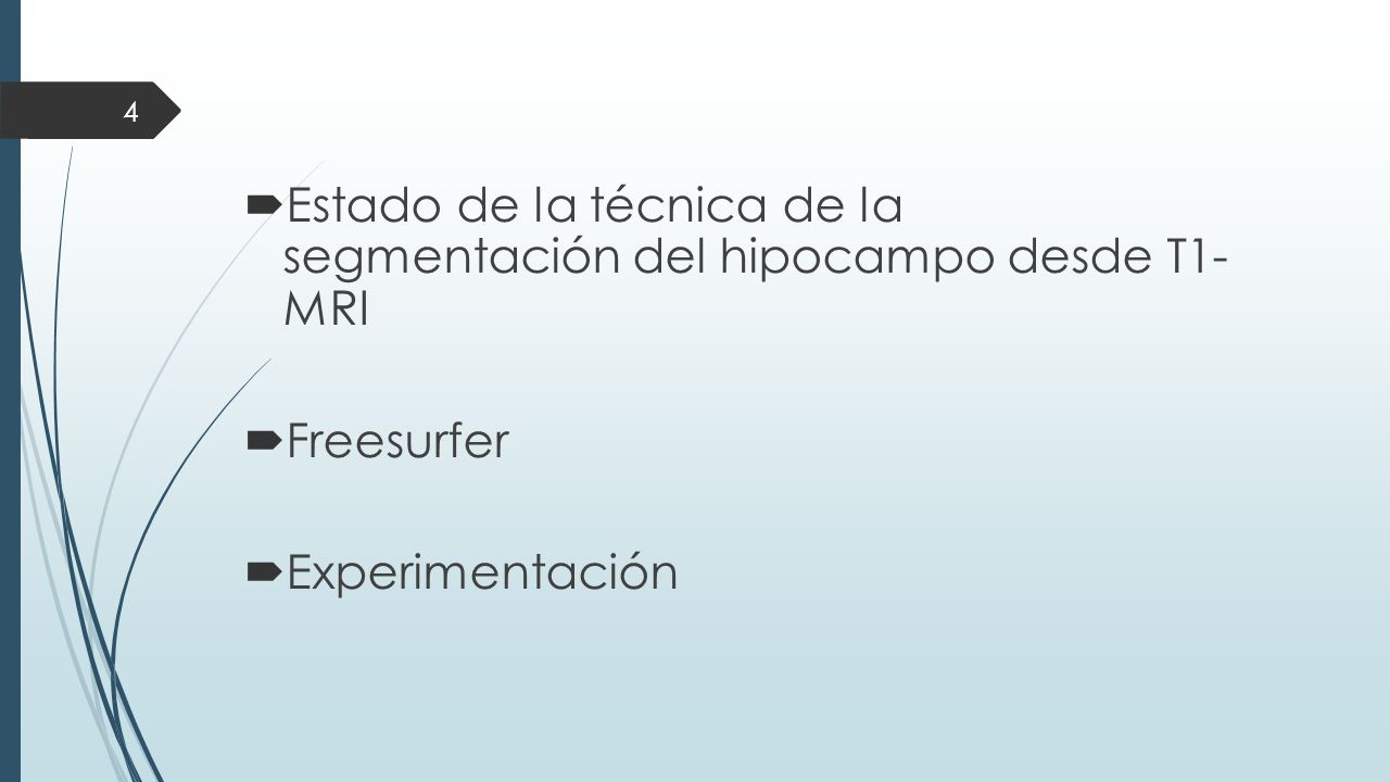Estado de la técnica de la segmentación del hipocampo desde T1- MRI