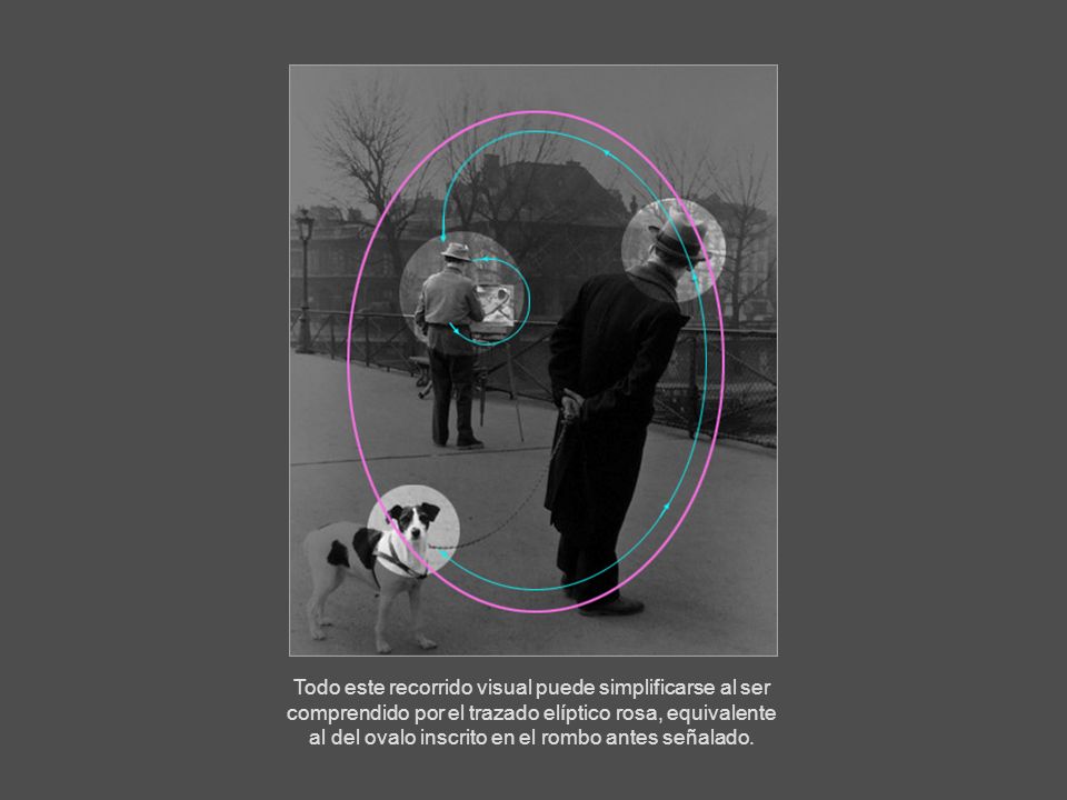 Todo este recorrido visual puede simplificarse al ser comprendido por el trazado elíptico rosa, equivalente al del ovalo inscrito en el rombo antes señalado.