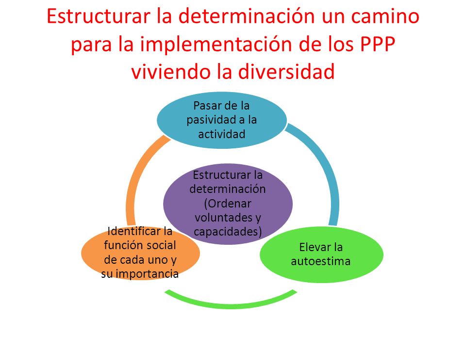 Estructurar la determinación un camino para la implementación de los PPP viviendo la diversidad