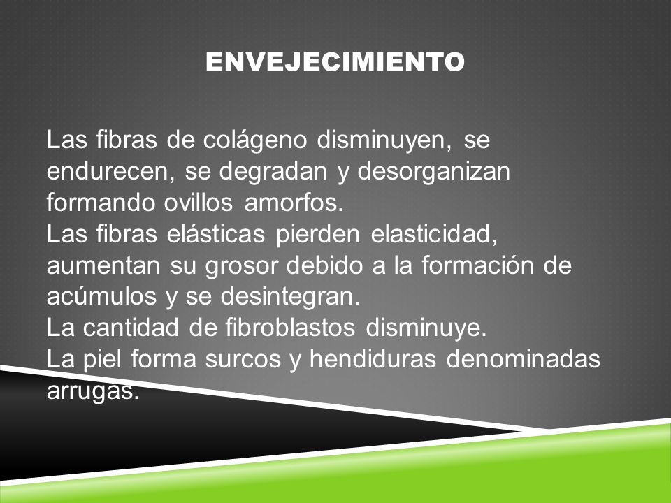 ENVEJECIMIENTO Las fibras de colágeno disminuyen, se endurecen, se degradan y desorganizan formando ovillos amorfos.