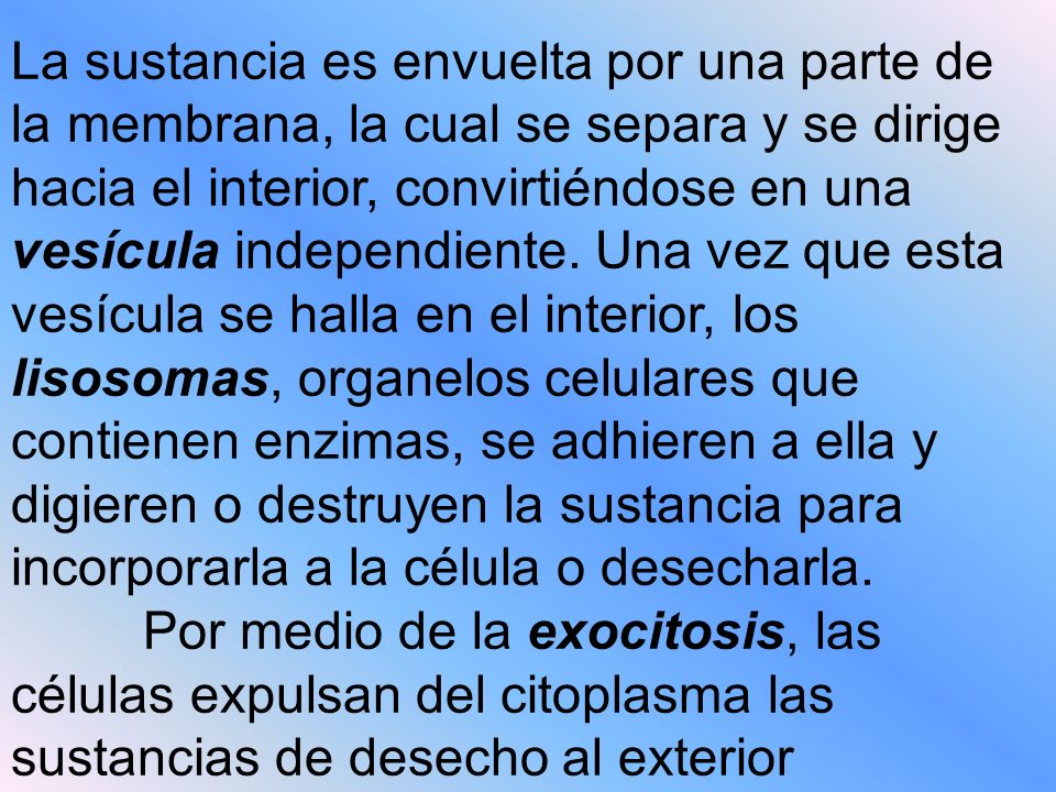 La sustancia es envuelta por una parte de la membrana, la cual se separa y se dirige hacia el interior, convirtiéndose en una vesícula independiente. Una vez que esta vesícula se halla en el interior, los lisosomas, organelos celulares que contienen enzimas, se adhieren a ella y digieren o destruyen la sustancia para incorporarla a la célula o desecharla.
