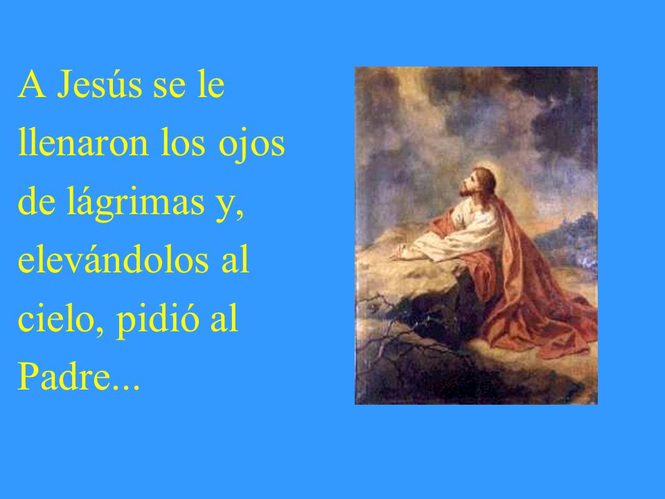 A Jesús se le llenaron los ojos de lágrimas y, elevándolos al cielo, pidió al Padre...