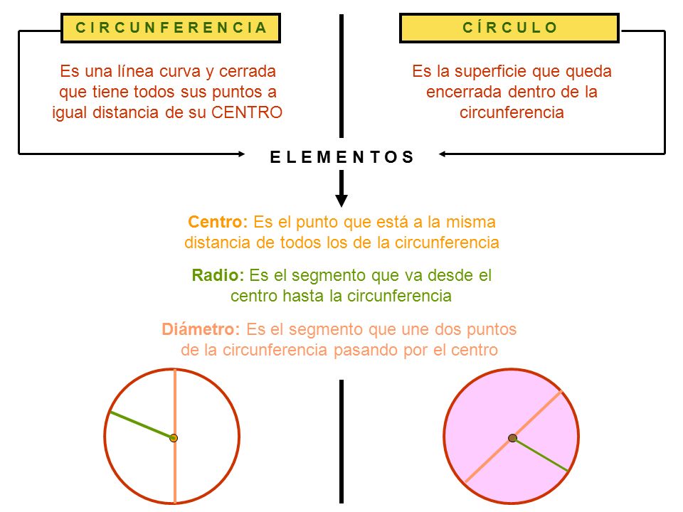 Es la superficie que queda encerrada dentro de la circunferencia