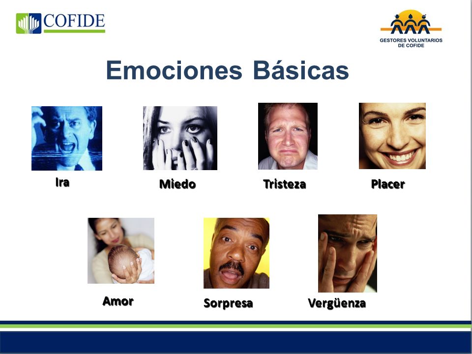 Emociones Básicas Ira Miedo Tristeza Placer Amor Sorpresa Vergüenza