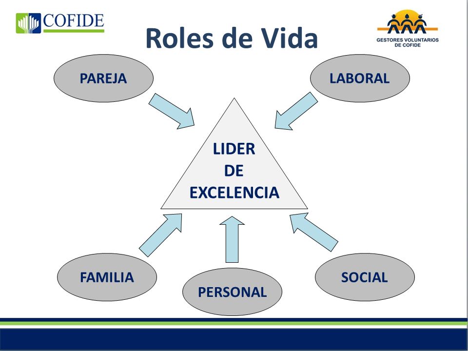 Roles de Vida LIDER DE EXCELENCIA PAREJA LABORAL FAMILIA SOCIAL