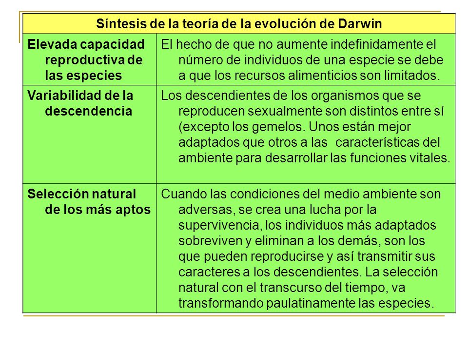 Síntesis de la teoría de la evolución de Darwin
