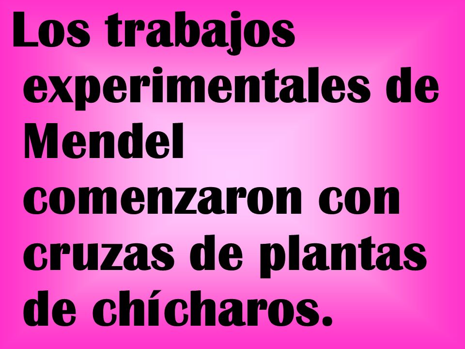Los trabajos experimentales de Mendel comenzaron con cruzas de plantas de chícharos.