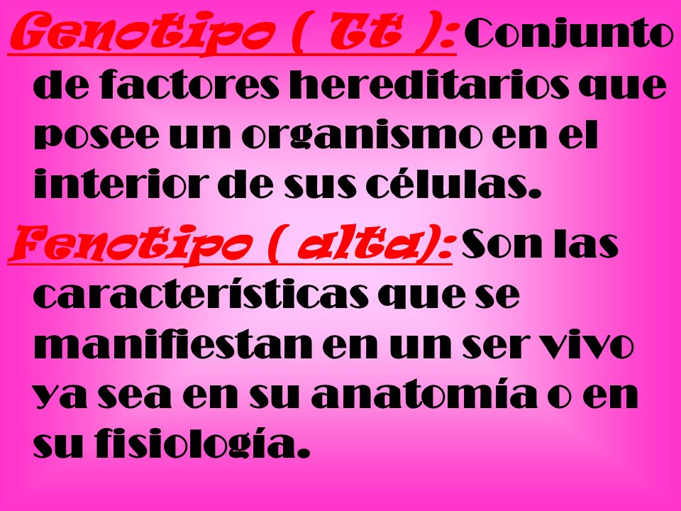 Genotipo ( Tt ): Conjunto de factores hereditarios que posee un organismo en el interior de sus células.