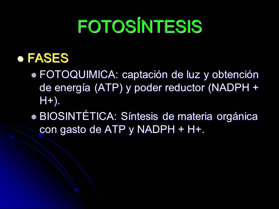 FOTOSÍNTESIS FASES. FOTOQUIMICA: captación de luz y obtención de energía (ATP) y poder reductor (NADPH + H+).
