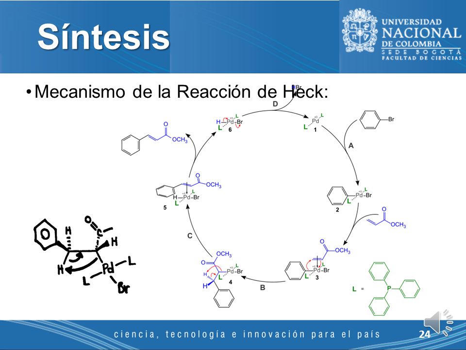 Síntesis Mecanismo de la Reacción de Heck: 24