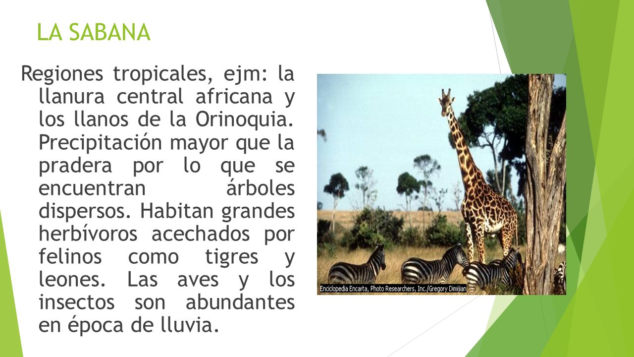 LA SABANA