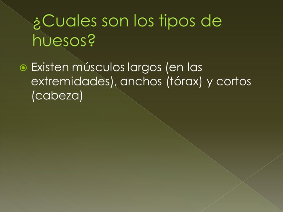 ¿Cuales son los tipos de huesos