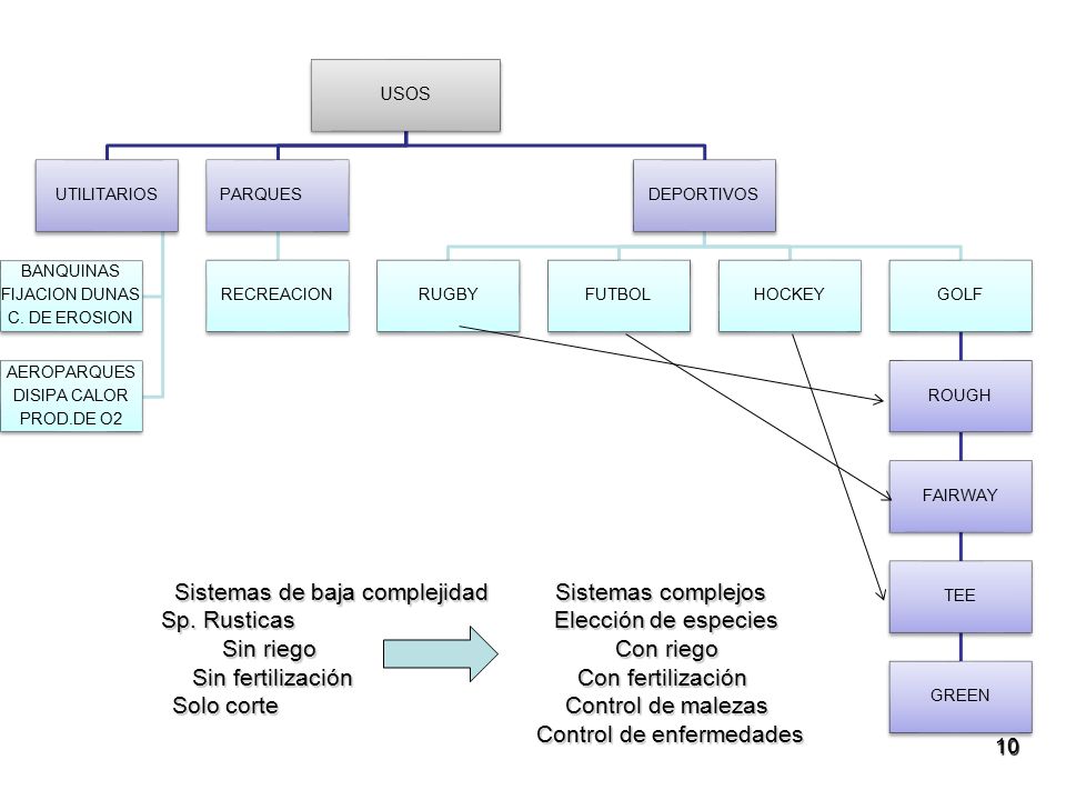 USOS UTILITARIOS. C. DE EROSION. FIJACION DUNAS. BANQUINAS. PROD.DE O2. DISIPA CALOR. AEROPARQUES.