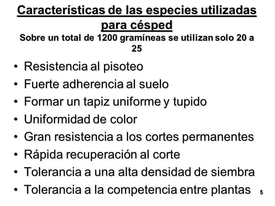 Características de las especies utilizadas para césped Sobre un total de 1200 gramíneas se utilizan solo 20 a 25