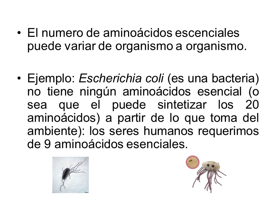 El numero de aminoácidos escenciales puede variar de organismo a organismo.