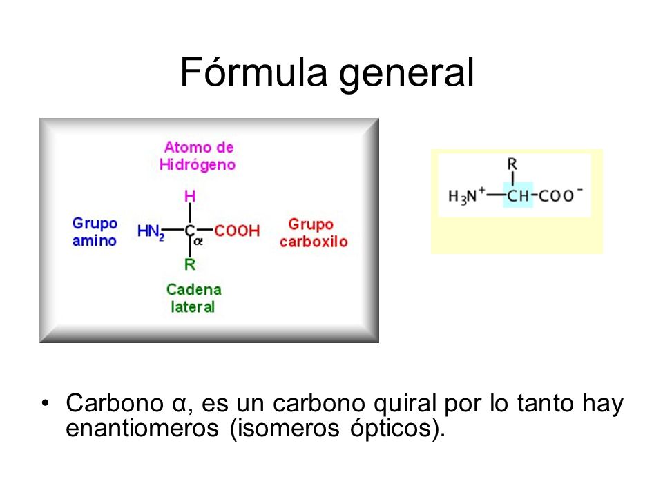 Fórmula general Carbono α, es un carbono quiral por lo tanto hay enantiomeros (isomeros ópticos).