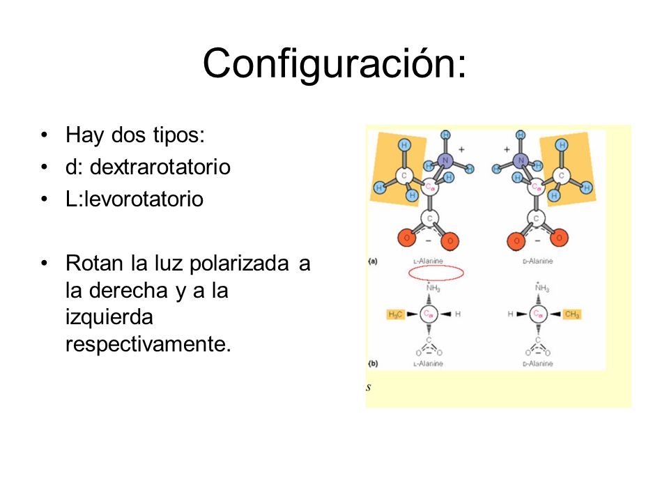 Configuración: Hay dos tipos: d: dextrarotatorio L:levorotatorio