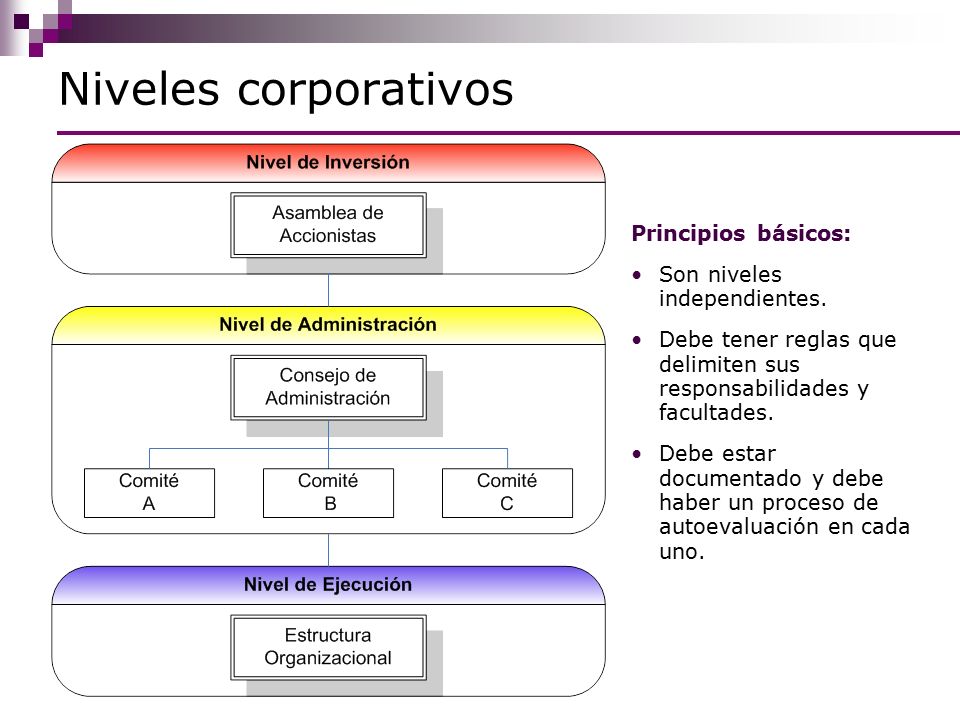 Niveles corporativos Principios básicos: Son niveles independientes.