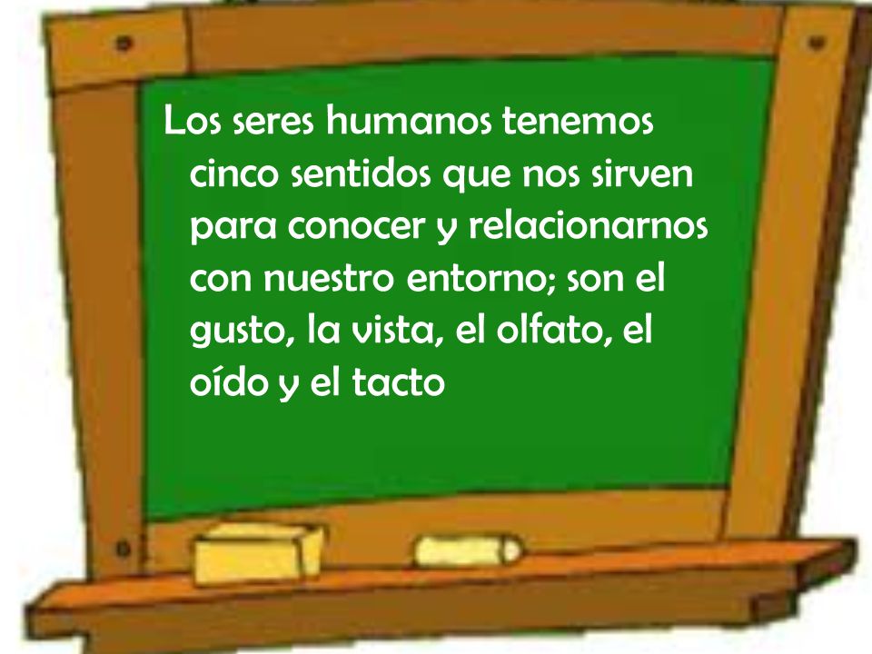 Los seres humanos tenemos cinco sentidos que nos sirven para conocer y relacionarnos con nuestro entorno; son el gusto, la vista, el olfato, el oído y el tacto