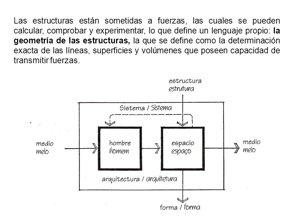 Las estructuras están sometidas a fuerzas, las cuales se pueden calcular, comprobar y experimentar, lo que define un lenguaje propio: la geometría de las estructuras, la que se define como la determinación exacta de las líneas, superficies y volúmenes que poseen capacidad de transmitir fuerzas.