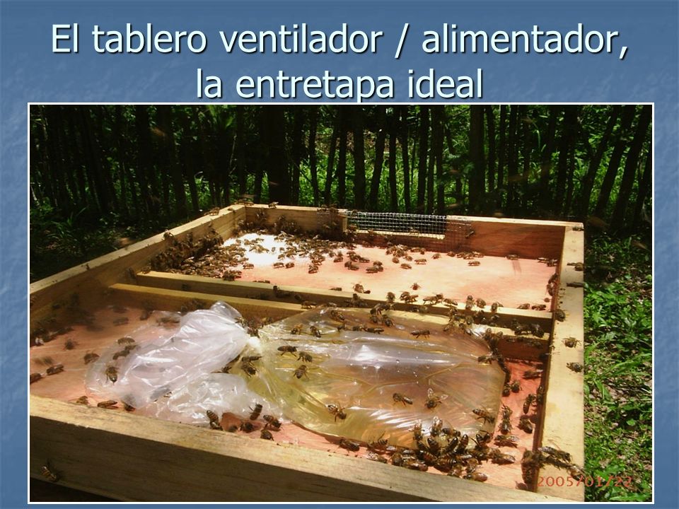 El tablero ventilador / alimentador, la entretapa ideal