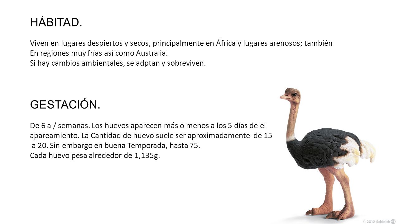 HÁBITAD. Viven en lugares despiertos y secos, principalmente en África y lugares arenosos; también.
