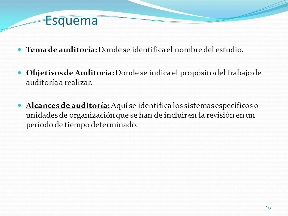 Esquema Tema de auditoría: Donde se identifica el nombre del estudio.
