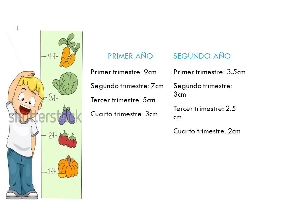 TALLA PRIMER AÑO SEGUNDO AÑO Primer trimestre: 9cm