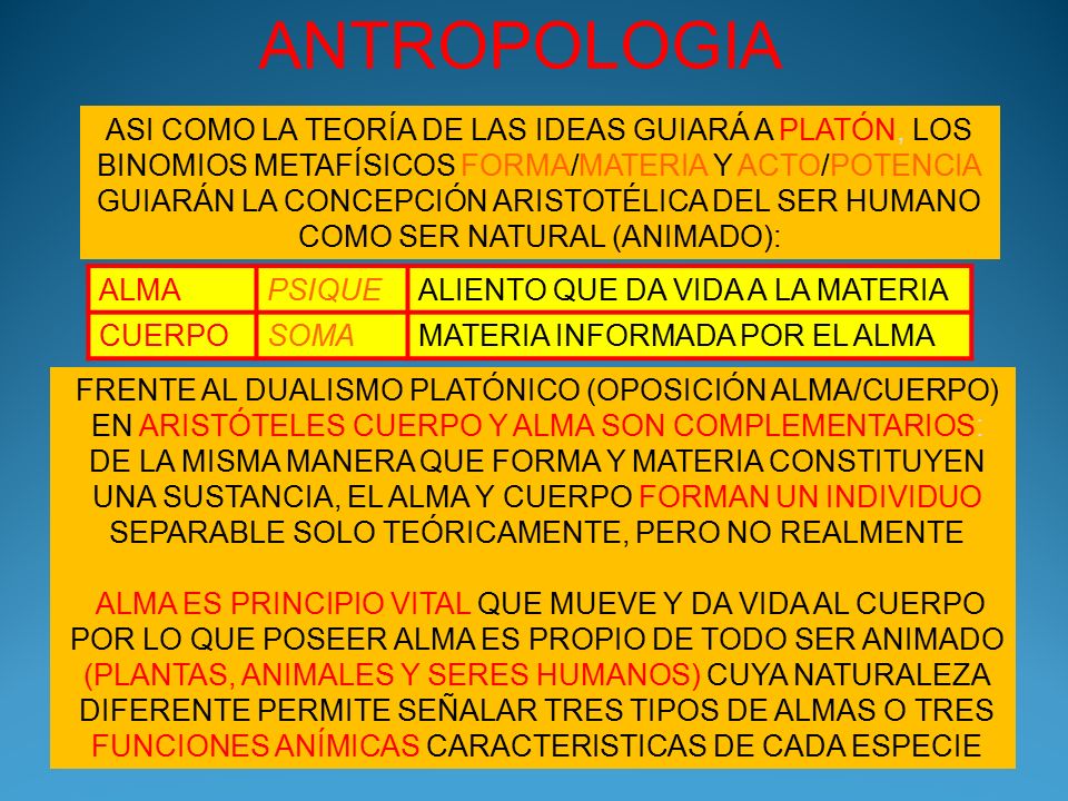 ANTROPOLOGIA ASI COMO LA TEORÍA DE LAS IDEAS GUIARÁ A PLATÓN, LOS