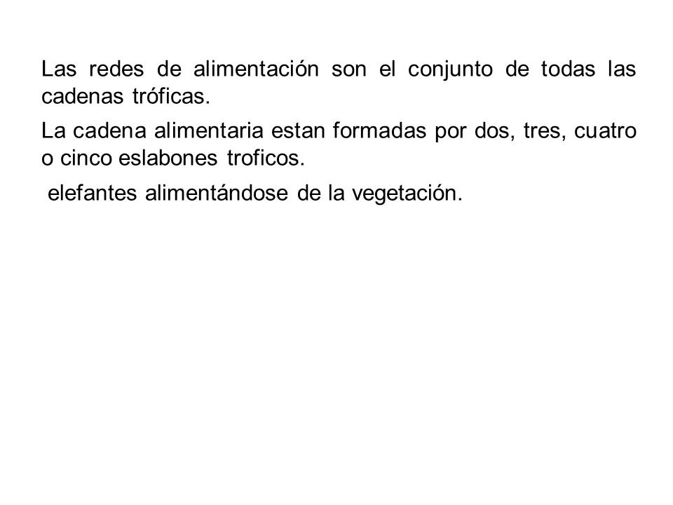 Las redes de alimentación son el conjunto de todas las cadenas tróficas.
