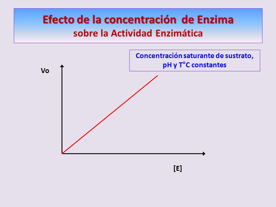 Efecto de la concentración de Enzima sobre la Actividad Enzimática