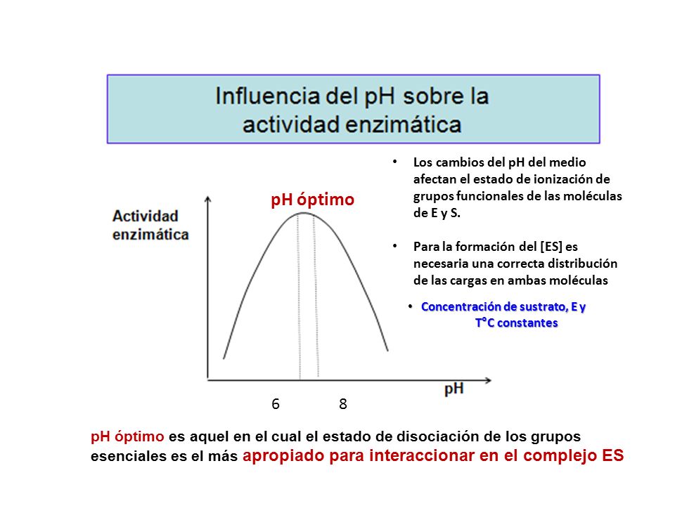 Los cambios del pH del medio afectan el estado de ionización de grupos funcionales de las moléculas de E y S.