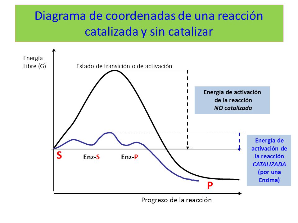 Diagrama de coordenadas de una reacción catalizada y sin catalizar