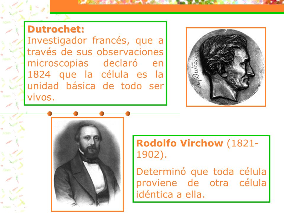 Dutrochet: Investigador francés, que a través de sus observaciones microscopias declaró en 1824 que la célula es la unidad básica de todo ser vivos.