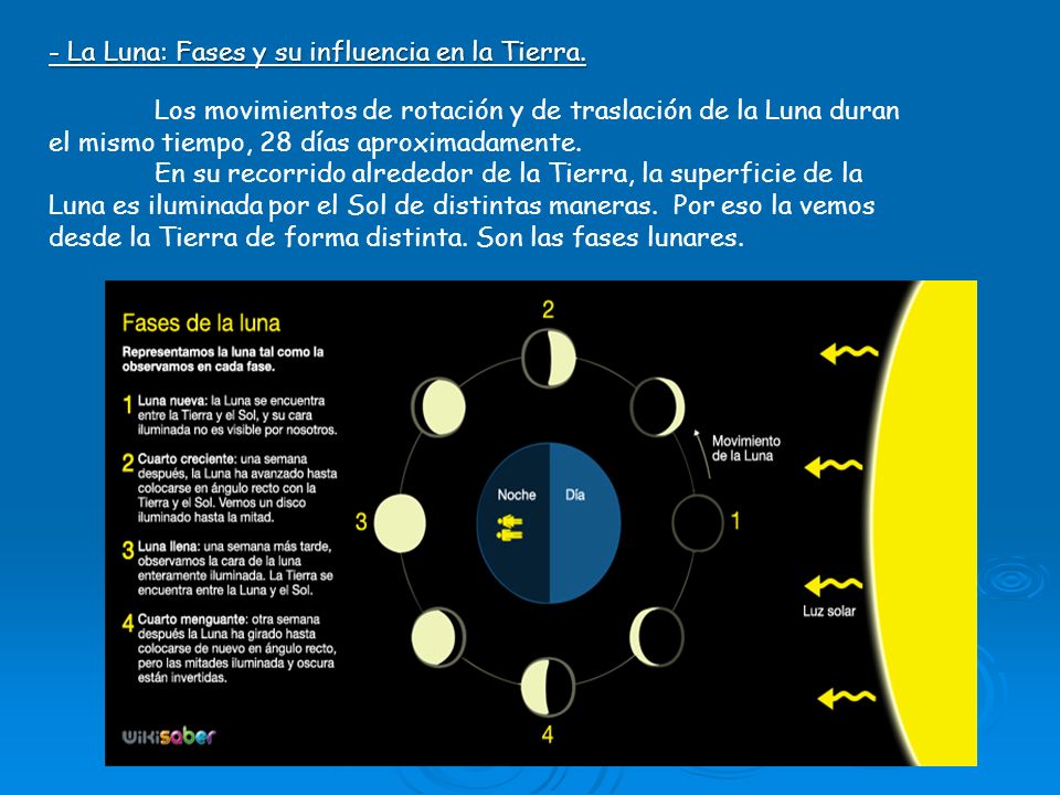 - La Luna: Fases y su influencia en la Tierra.