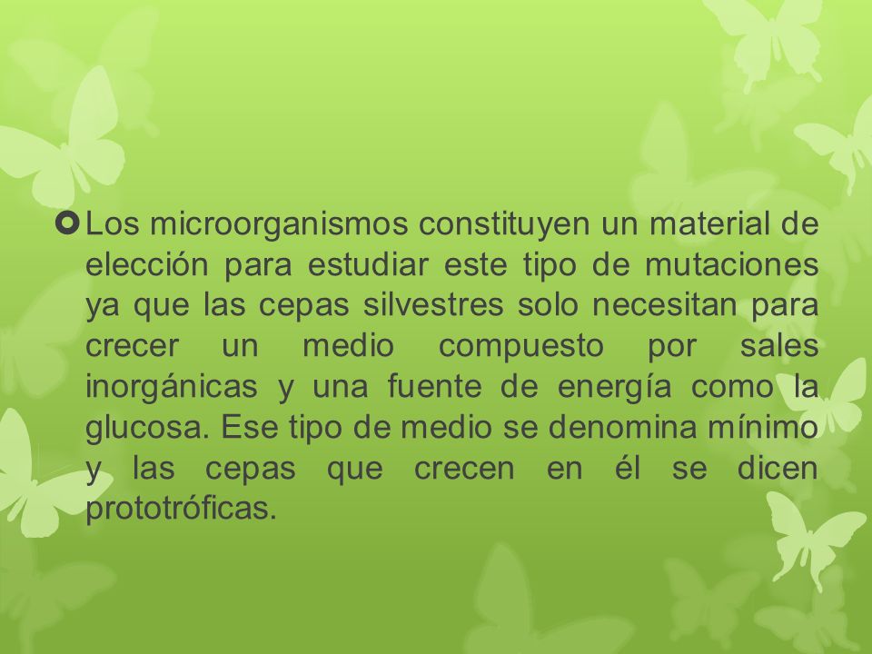 Los microorganismos constituyen un material de elección para estudiar este tipo de mutaciones ya que las cepas silvestres solo necesitan para crecer un medio compuesto por sales inorgánicas y una fuente de energía como la glucosa.