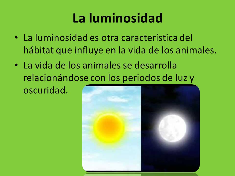 La luminosidad La luminosidad es otra característica del hábitat que influye en la vida de los animales.