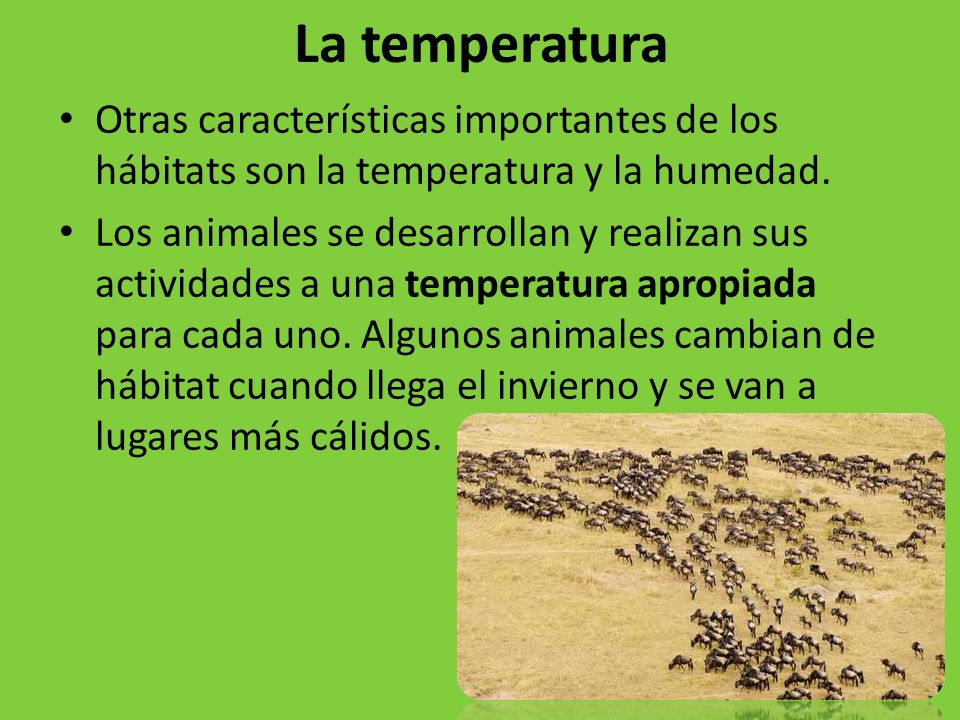 La temperatura Otras características importantes de los hábitats son la temperatura y la humedad.