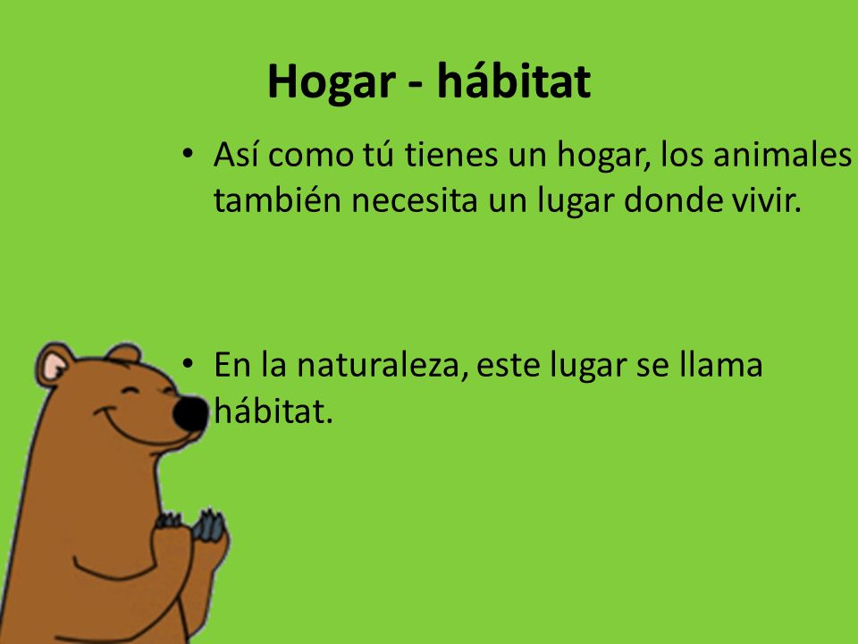 Hogar - hábitat Así como tú tienes un hogar, los animales también necesita un lugar donde vivir.