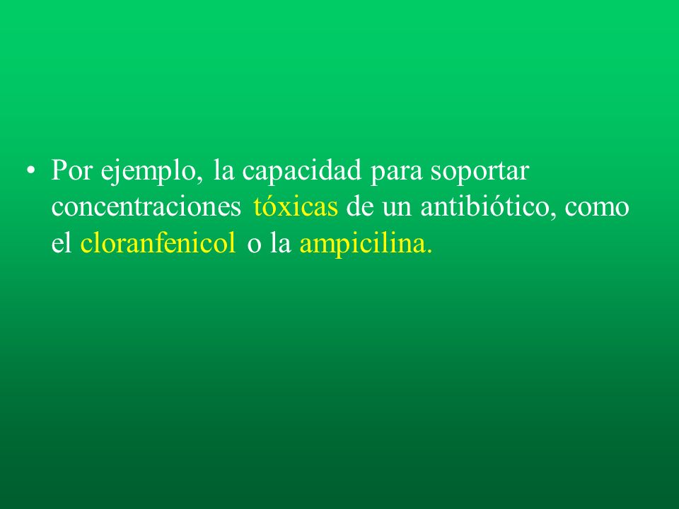 Por ejemplo, la capacidad para soportar concentraciones tóxicas de un antibiótico, como el cloranfenicol o la ampicilina.