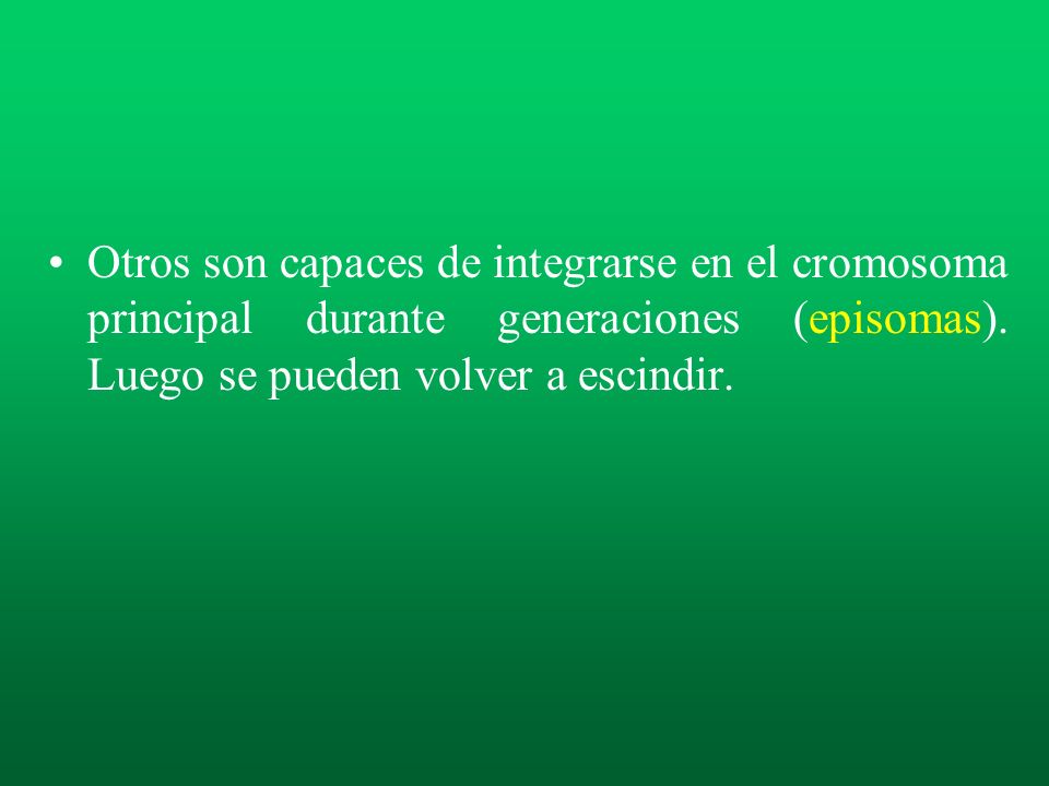 Otros son capaces de integrarse en el cromosoma principal durante generaciones (episomas).