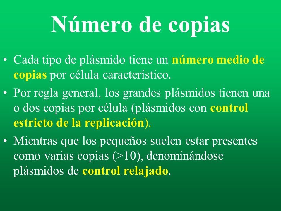 Número de copias Cada tipo de plásmido tiene un número medio de copias por célula característico.