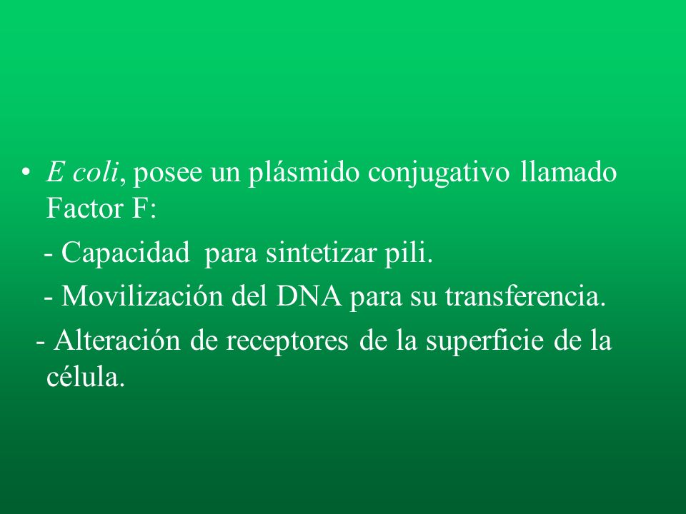 E coli, posee un plásmido conjugativo llamado Factor F: