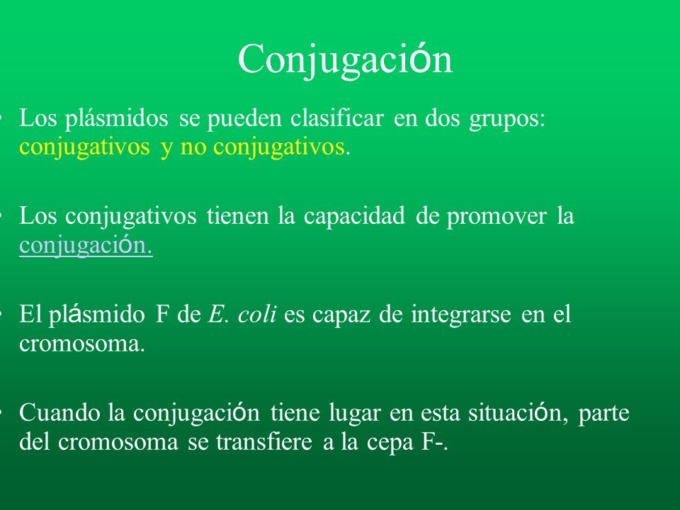 Conjugación Los plásmidos se pueden clasificar en dos grupos: conjugativos y no conjugativos.