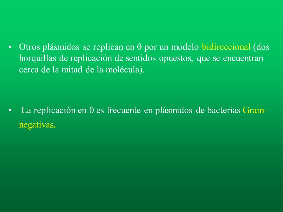 Otros plásmidos se replican en  por un modelo bidireccional (dos horquillas de replicación de sentidos opuestos, que se encuentran cerca de la mitad de la molécula).