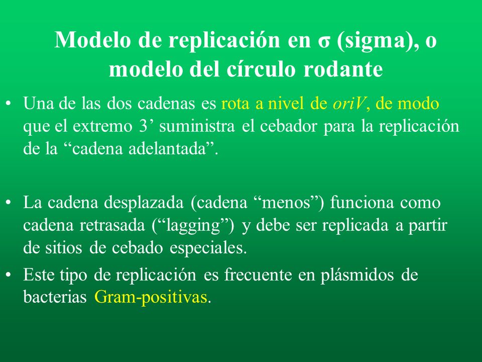 Modelo de replicación en σ (sigma), o modelo del círculo rodante