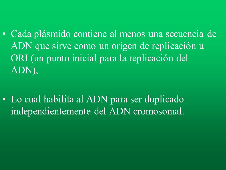 Cada plásmido contiene al menos una secuencia de ADN que sirve como un origen de replicación u ORI (un punto inicial para la replicación del ADN),
