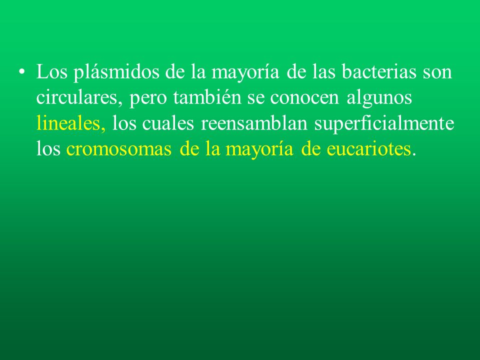 Los plásmidos de la mayoría de las bacterias son circulares, pero también se conocen algunos lineales, los cuales reensamblan superficialmente los cromosomas de la mayoría de eucariotes.