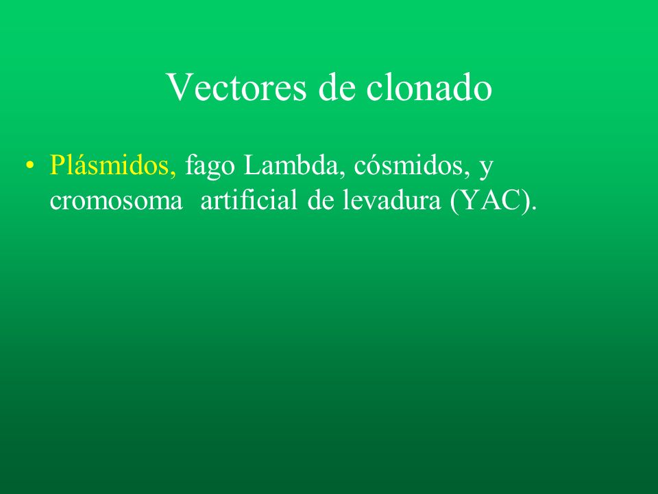 Vectores de clonado Plásmidos, fago Lambda, cósmidos, y cromosoma artificial de levadura (YAC).